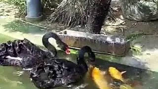 Щедрость это наивысшая степень человечества и вообще всего создания Всевышнем Аллахом