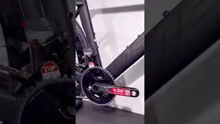 Merida Reacto Force Edition
