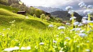 Pop / Folk Instrumental Beat - Homeland