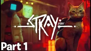 Stray | Walkthrough Gameplay | NO Commentry #stay #pcgames #gta #forzahorizon5