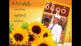 ဘိသိတ္ စြန္ညိဳ