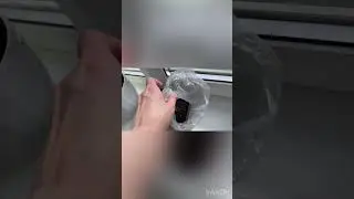 Полный Влог на Бусти