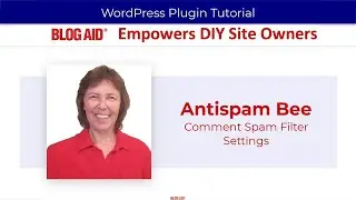 Antispam Bee Settings for Comment Spam Protection