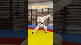 Работа из стойки Неко-Аши-Дачи. Asai Ryu karatedo. 