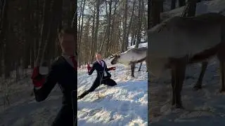 Coffee with friends☕️🦌🕺 #coffeelover #dancing #reindeer #norway