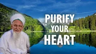 Purify Your Heart