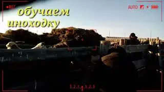Обучаем лошадь..