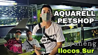 BACKYARD BREEDER before PETSHOP OWNER ngayun😱 Sipag at tyaga baon @ Bantaoay, San Vicente,Ilocos Sur