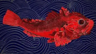 Who Is Red Herring?