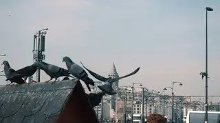 İstanbul Kanatlarımın altında (960 fps slow motion video)