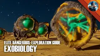 ELITE DANGEROUS - Exploration Guide - Part Four (Exobiology)