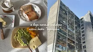 Vlog: истерика в коридоре😓