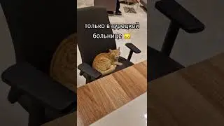 Turkish clinic 😹 
