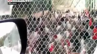 Они нашли общий язык