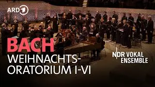 Bach - Christmas Oratorio - Cantata I-VI | Akademie für Alte Musik Berlin | NDR Vokalensemble