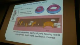 BSCI 420 Intracellular Pathogens 11/29