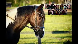 ❤ Einreiten von Calisso | Teil 2 |❤ Vom Jungpferd zum Reitpferd ❤