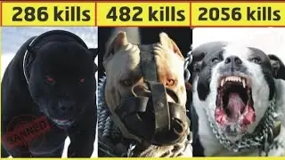 Best Guard Dog | Best Guard dog in india || 4Legged