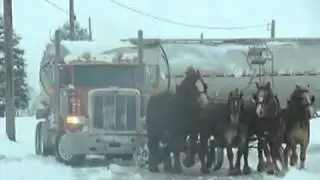 Трусливые тягачи