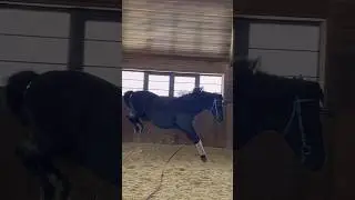 Радость 