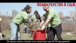 Волонтерство в США. Как же выглядят американские субботники?