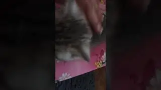 Хутор-блогер