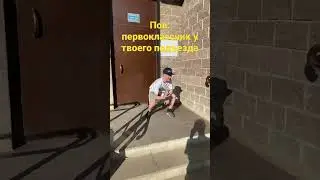 # смех#смешно#шортс #жиза