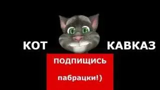 Кот Кавказ - Кавказец который плохо говорит по русский
