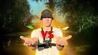 ✅ЛЯГУШКА VS ХОРВАТСКОЕ ЯЙЦО. КТО ПОБЕДИТ ?