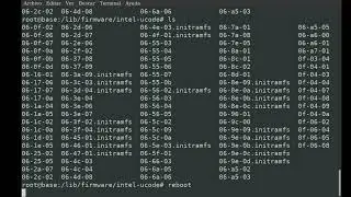 Debian 11 GNU/Linux Microcode con AMD e Intel