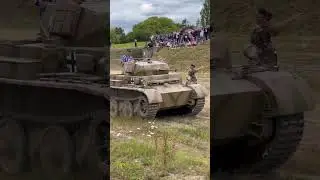 Luchs 