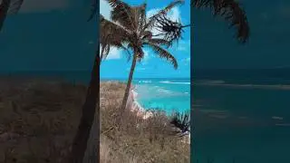 Have you been to Hawaii? ✈️