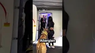 Das ist der größte Hund im Flug 🐕 ✈️