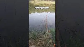 Hari libur gak mancing? #shortsvideo #trendingshorts #fypシ゚viral