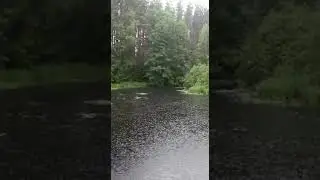 Вот это рыбалка!