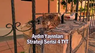 Aydın Yayınları Strateji Serisi 4 TYT Yorumum