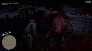 RDR 2 The Knuckle Buckle Roabin's perspective