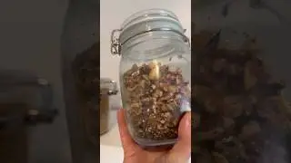 Pantry Moth Infestation: What I Learned