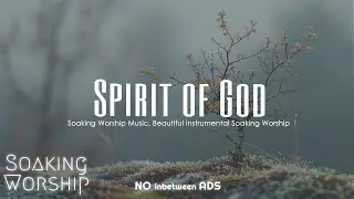 Prophetic Warfare Instrumental, Worship Music, Intense worship, Soaking Worship