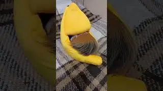 Посилка з AliExpress для морських свинок 😀 #морськісвинки #свинкишоу #svinkishow