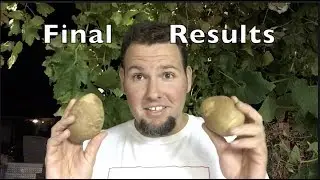 How to Grow 100 Pounds of Potatoes in 4 Square Feet / Part 14 Final Results