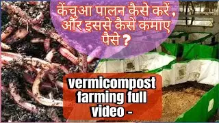 Varmicompost  kechua palan kaise kare , केंचुआ पालन कैसे करें । #केंचुआ पालन #varmicompost