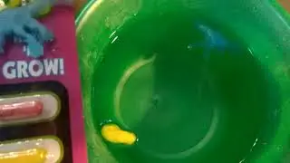 Из капсул в динозавров