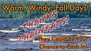 How to Catch Lots of Bass on a Warm Fall Day