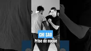 WING CHUN Kung Fu NECK TRAP