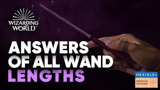 Answers of All Wand Lengths on Wizarding World || Hogwarts Legacy