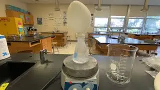 Mini Labs Boyle & Charles's Law