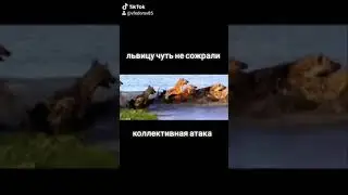 Гиена