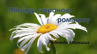 Обойду стороною ромашку    Надежда Меньших