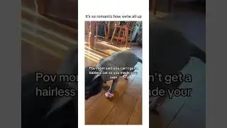 That caption really saved you